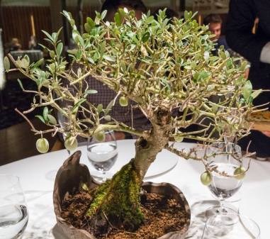 13627253_10210391215522991_1326992651619220513_n